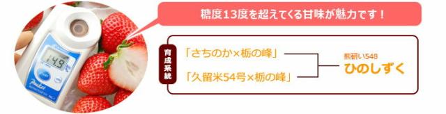 ひのしずく育成系統図
