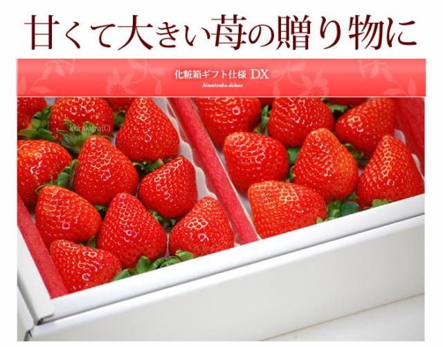 ひのしずくイチゴの贈り物