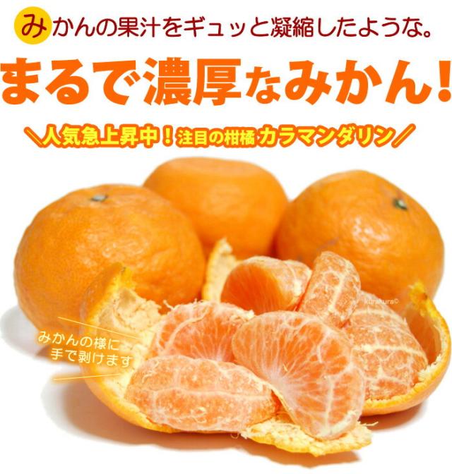 みかんを凝縮した濃厚な味わい