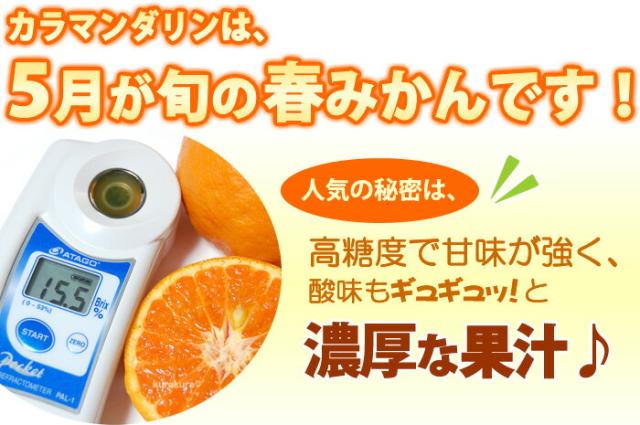 カラマンダリンは春みかん