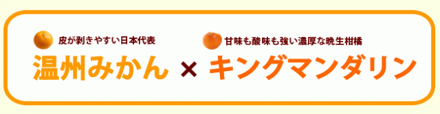 温州みかんとキングマンダリンを交配