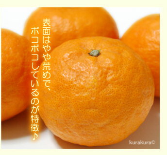 カラマンダリンの魅力