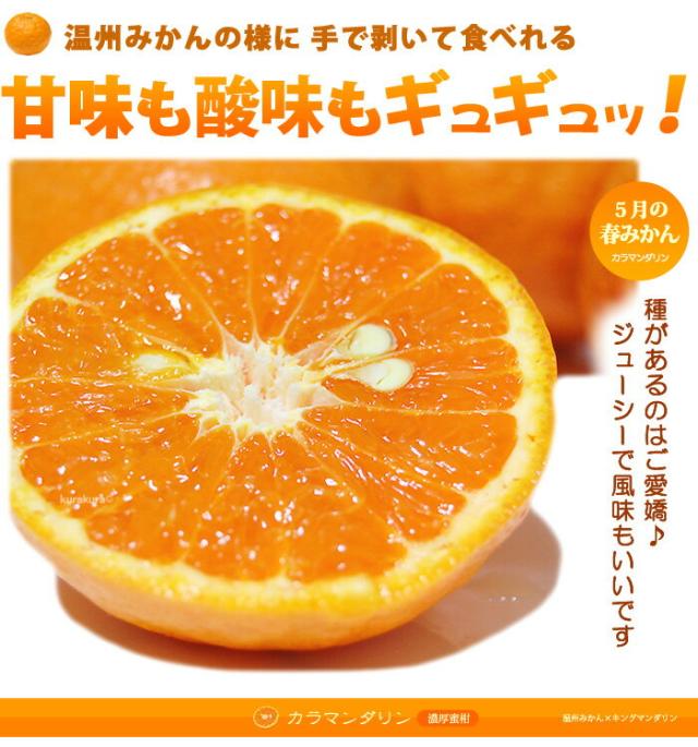 カラマンダリンのジューシーな果肉