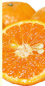 カラマンダリンの豆知識