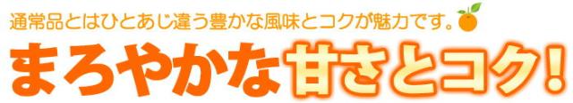まろやかな甘さとコクが木熟ポンカンの特徴