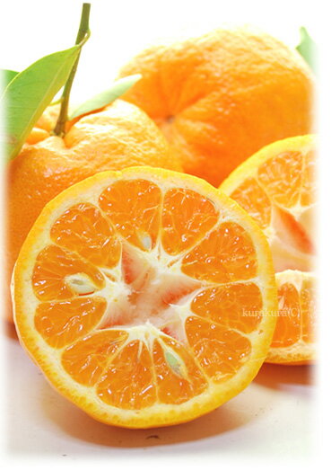 木熟で手に入れた上品な味わい