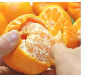 ポンカンは手で剥けます。