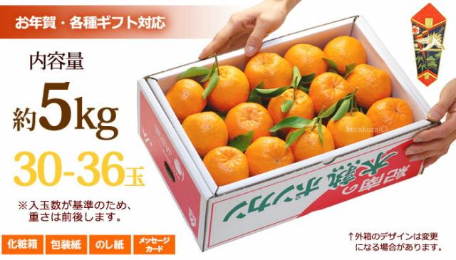 和歌山紀南の木熟ポンカン5kgのお届け姿