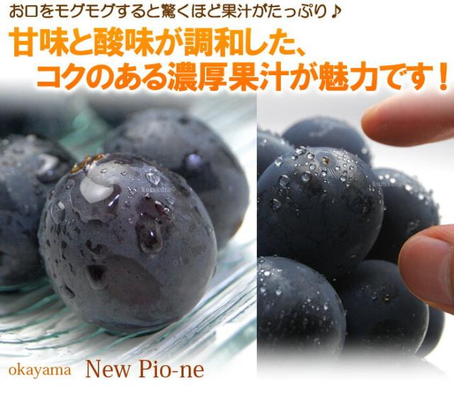 濃厚な甘味がピオーネの魅力
