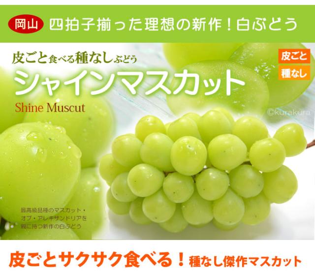 シャインマスカットとは?