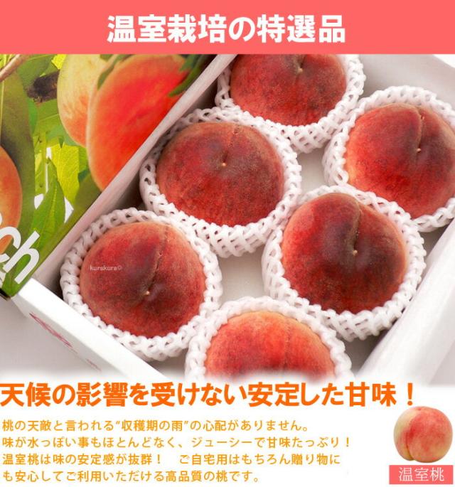 安定感抜群！の温室桃