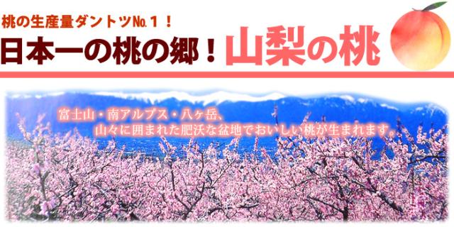 日本一の桃の郷！山梨県産の桃