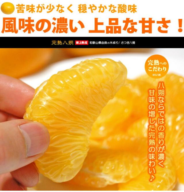 風味が濃い八朔
