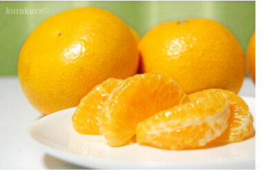 ぷりぷり美味しい由良はっさく