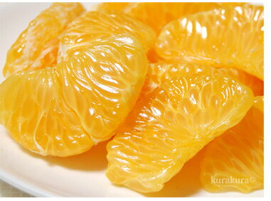 サクサク美味しい由良はっさく