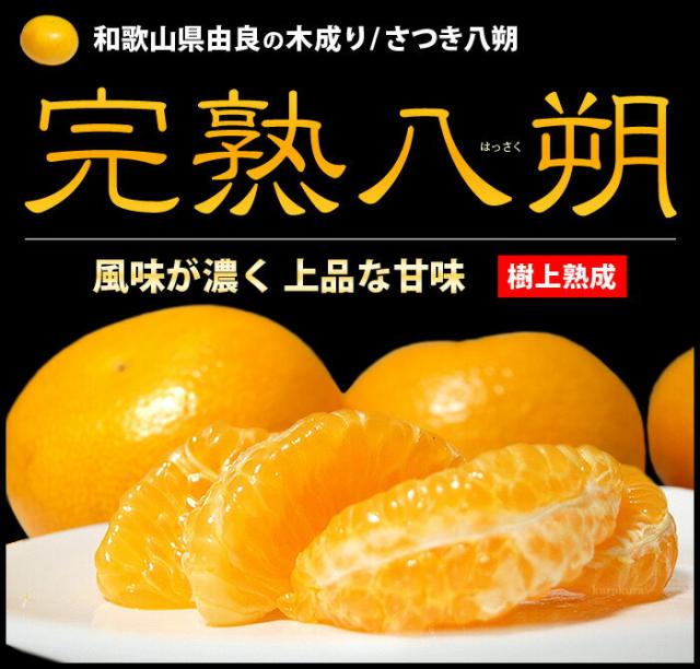 由良木成りはっさく/さつき八朔の販売/通販