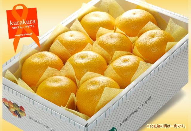 由良の八朔フルーツギフトの販売