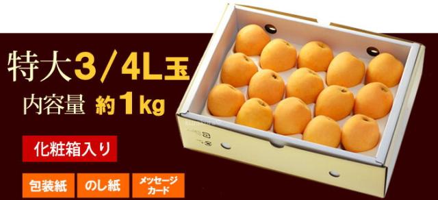 長崎甘香びわ3Lサイズの販売仕様は