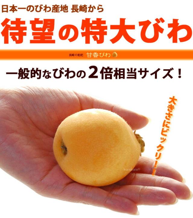 甘香びわ待望の大玉