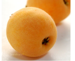 甘香びわは少量の販売