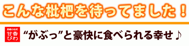 待ってました長崎甘香びわ