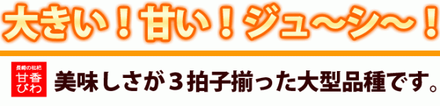 三拍子揃った甘香びわ