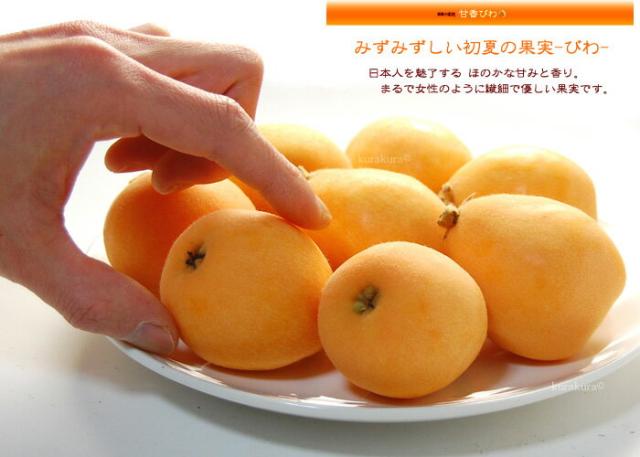 まるまる大きい甘香びわ