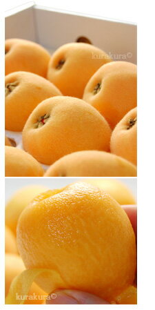 甘香びわ化粧箱イメージ