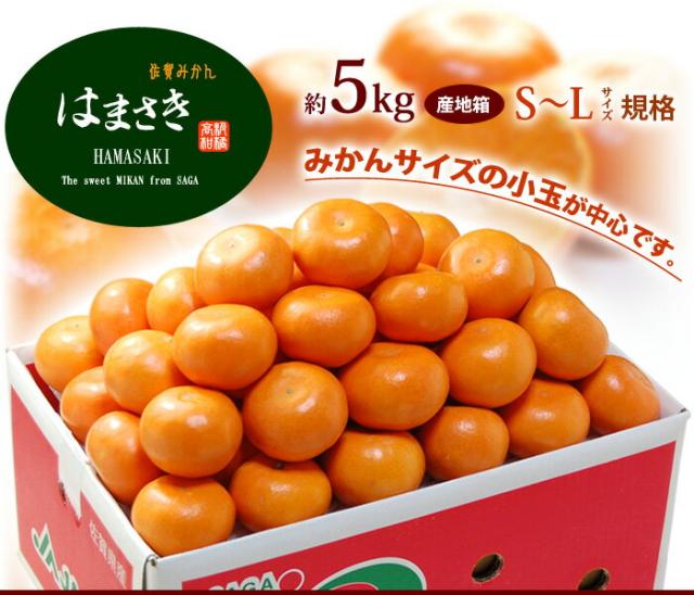 はまさき（小玉バラ詰め）5kg販売お届け姿