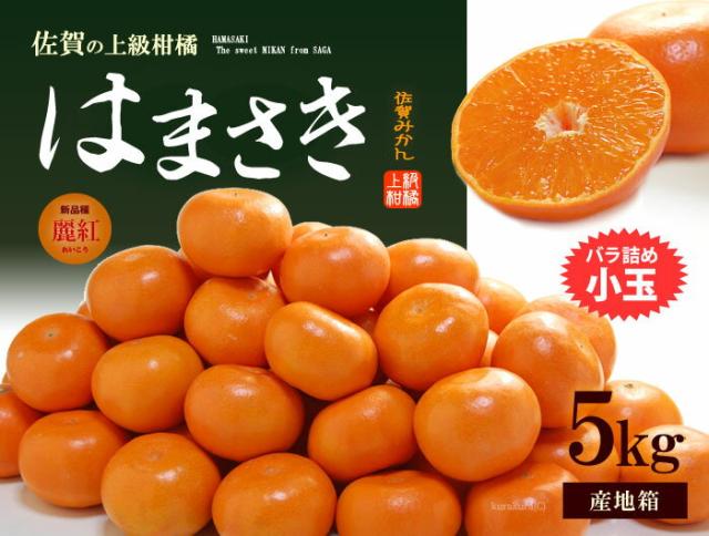 はまさき（小玉バラ詰め）5kg販売ご案内