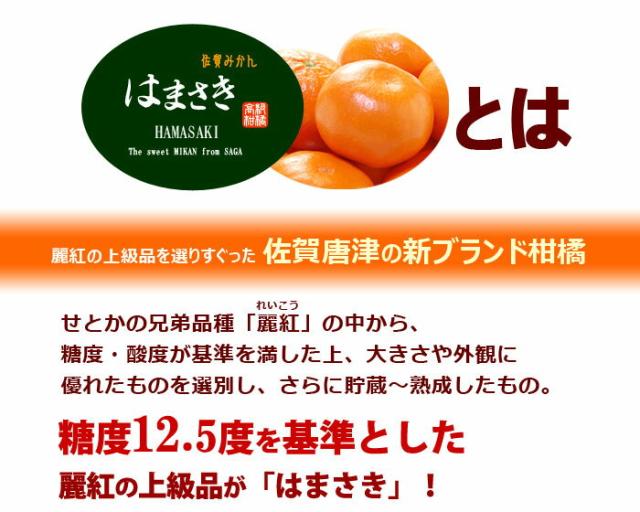 はまさきとは？