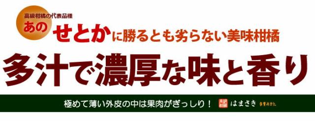はまさき美味しさ