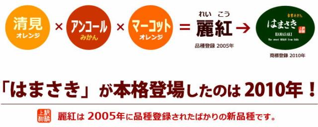 はまさき品種れいこう