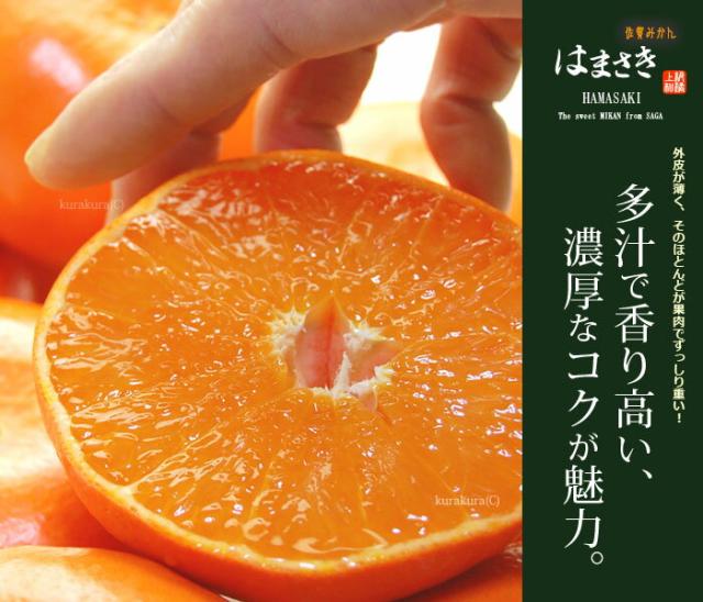 はまさき佐賀の上級みかん