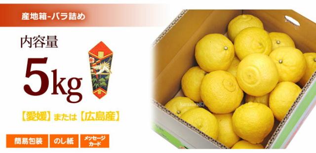 はるか5kg箱販売詳細