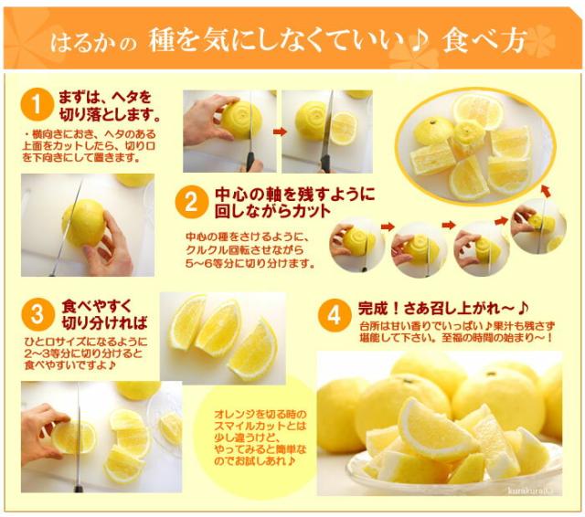 はるか食べ方カット方法