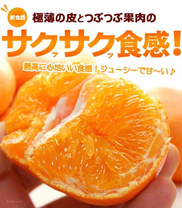 甘平かんぺいのサクサク新食感