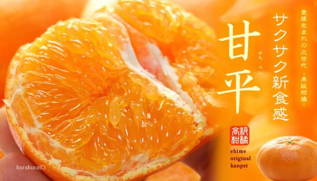 甘平サクサク新食感