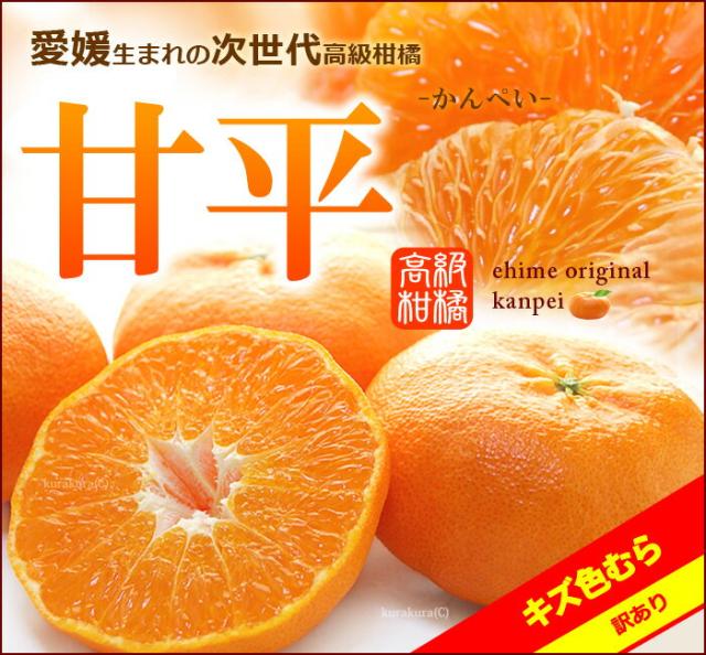甘平かんぺい（訳あり）販売/通販