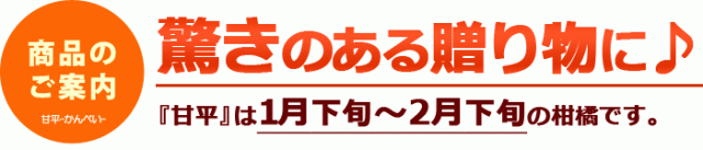 甘平ギフトにおすすめ