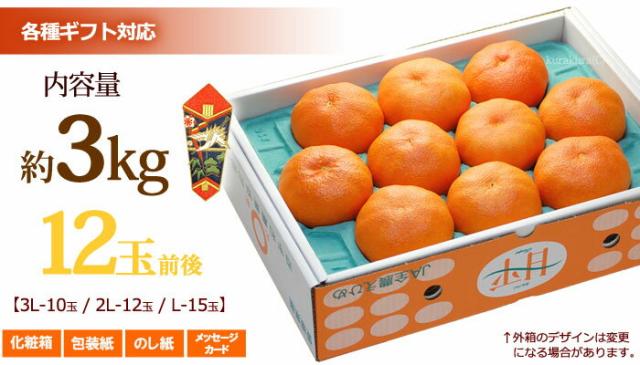 甘平かんぺい3kg販売12玉前後