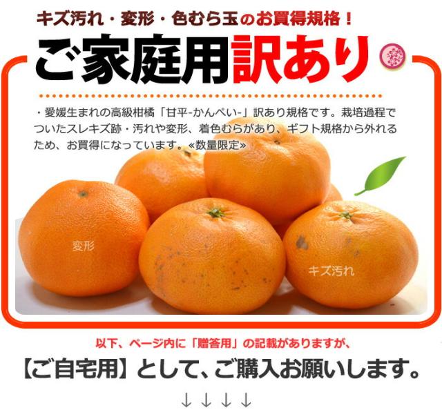 高級カンキツ甘平訳あり販売