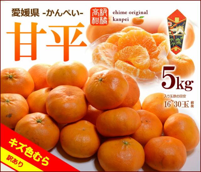 甘平かんぺい訳あり5kg販売詳細