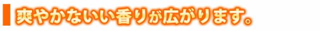 爽やかな香り黄金柑