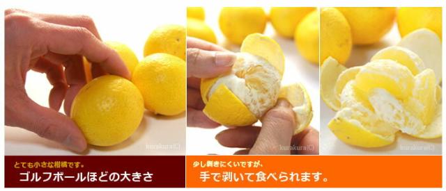 黄金間の食べ方