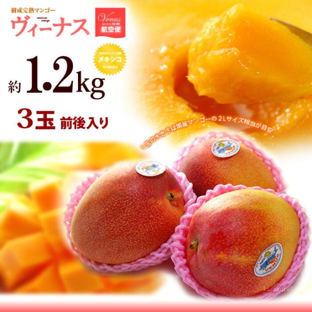 ヴィーナスマンゴー1.2kgお届けイメージ