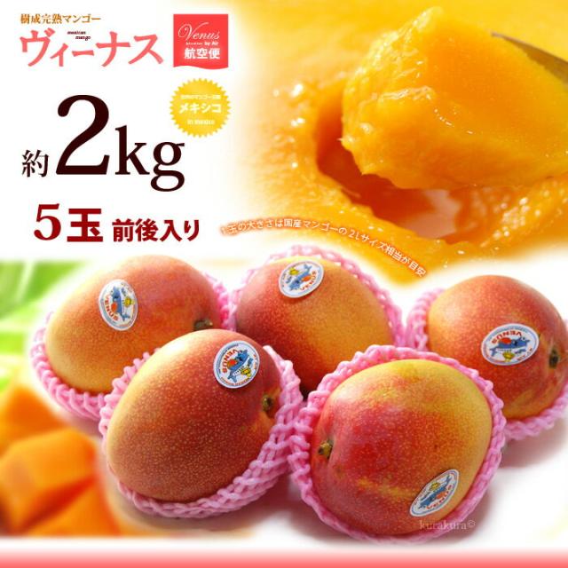 ヴィーナスマンゴー2kgお届けイメージ