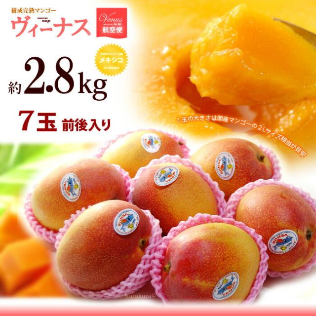 ヴィーナスマンゴー2.8kgお届けイメージ