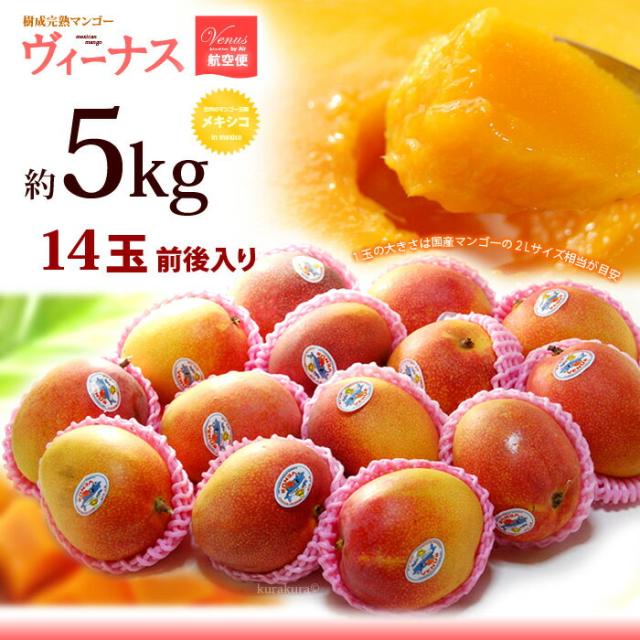ヴィーナスマンゴー5kgお届けイメージ