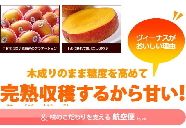 ヴィーナスは完熟収穫するから甘い